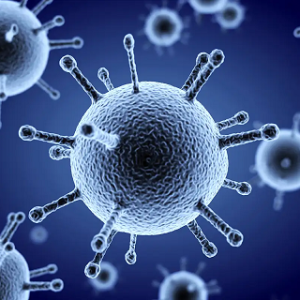 Home image health heal flu